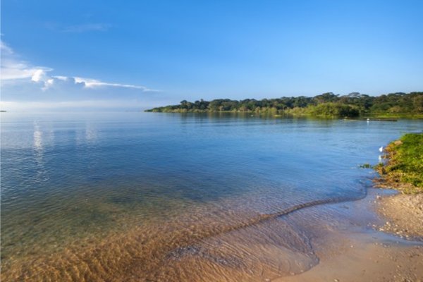 Goshen Africa a new African Development including Uganda Eco Lakeside Glamping in Lake Victoria Uganda 