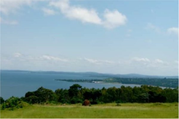 Goshen Africa a new African Development including Uganda Eco Lakeside Glamping in Lake Victoria Uganda 