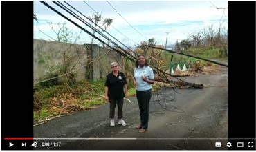 Sawyer PointOne Distribution in Dominica