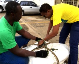 Tent Evangelism Outreach